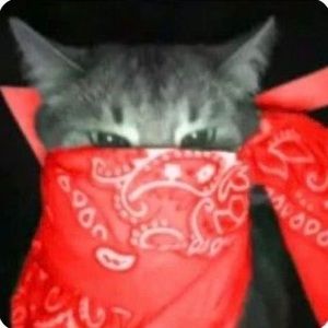 Meet your Posher, Logan